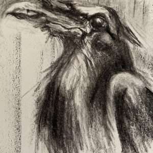 Een houtskool tekening van een raaf door Carolien van Oijen