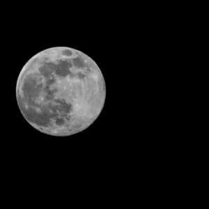 Volle maan