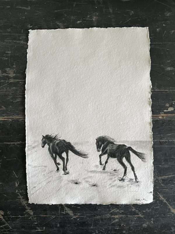 Twee Paarden - Houtskool op papier